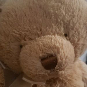 Meet your Posher, Sandy